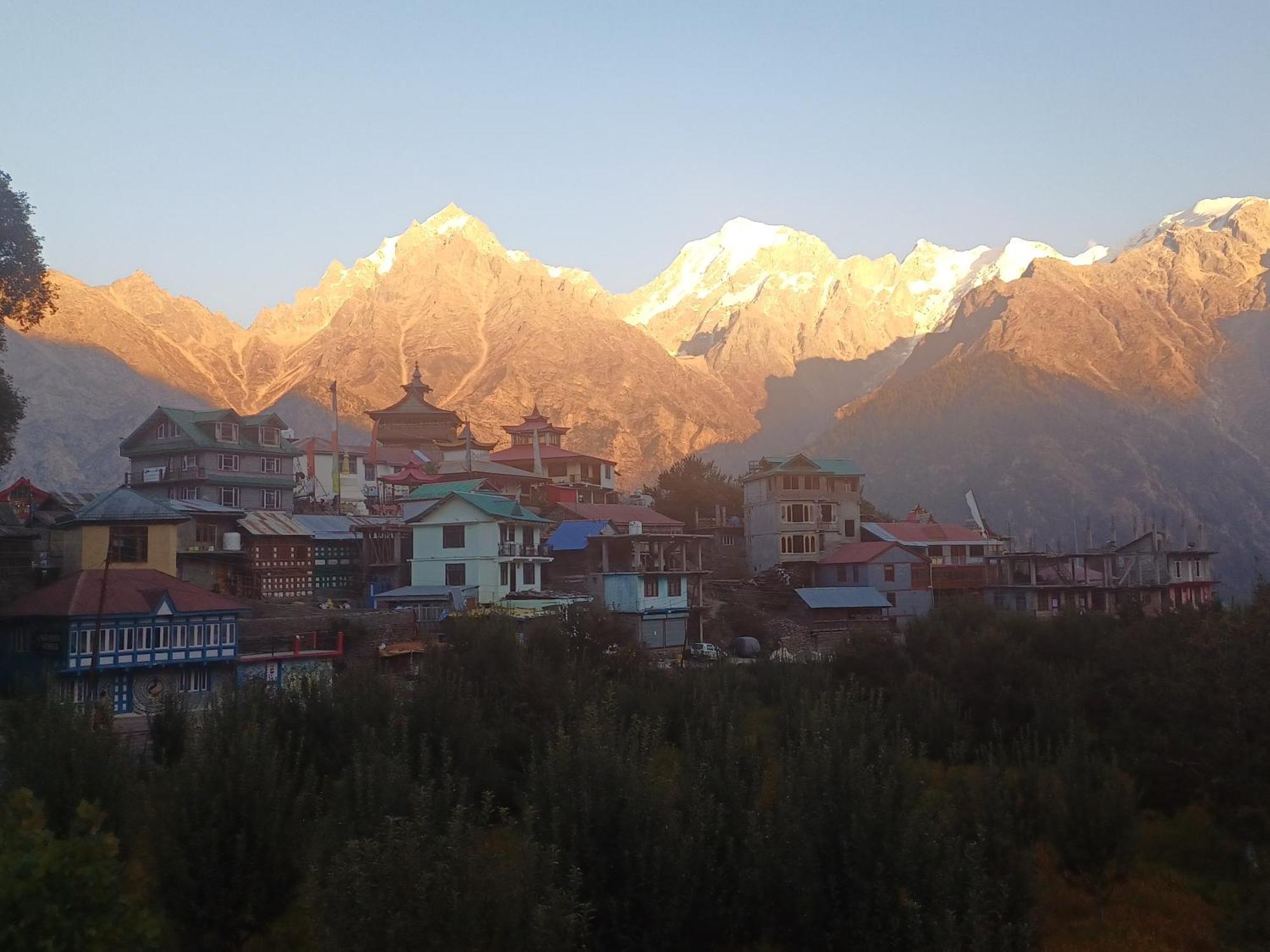 Pine View Retreat Homestay Kalpa Eksteriør bilde
